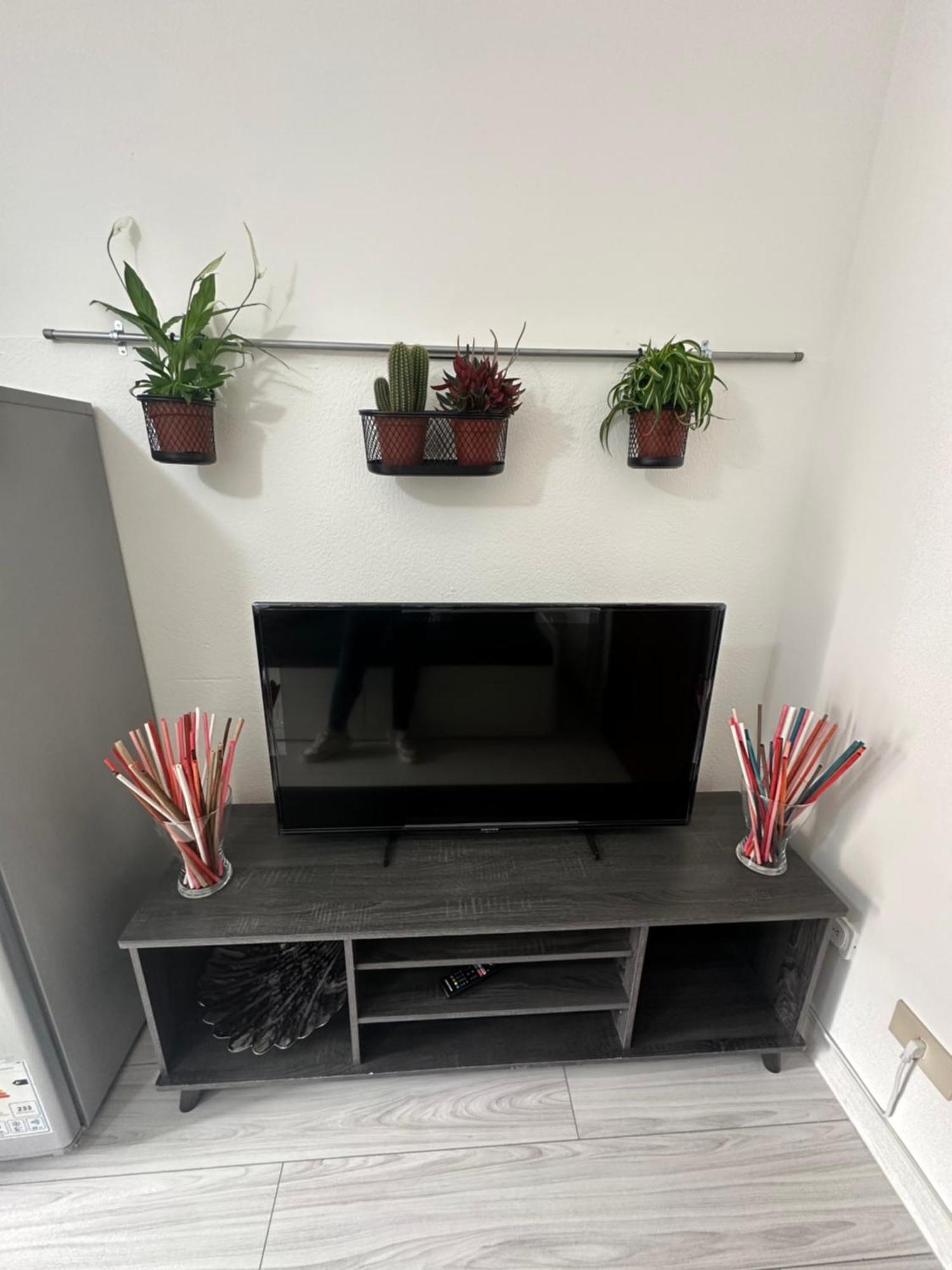 פיזה B&B Luna Rosa מראה חיצוני תמונה